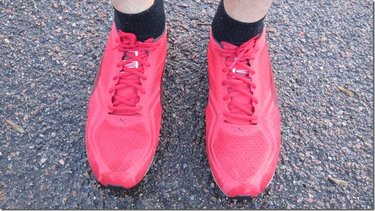 IMG_6833[1]