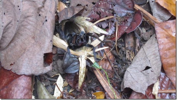 IMG_7733[1]